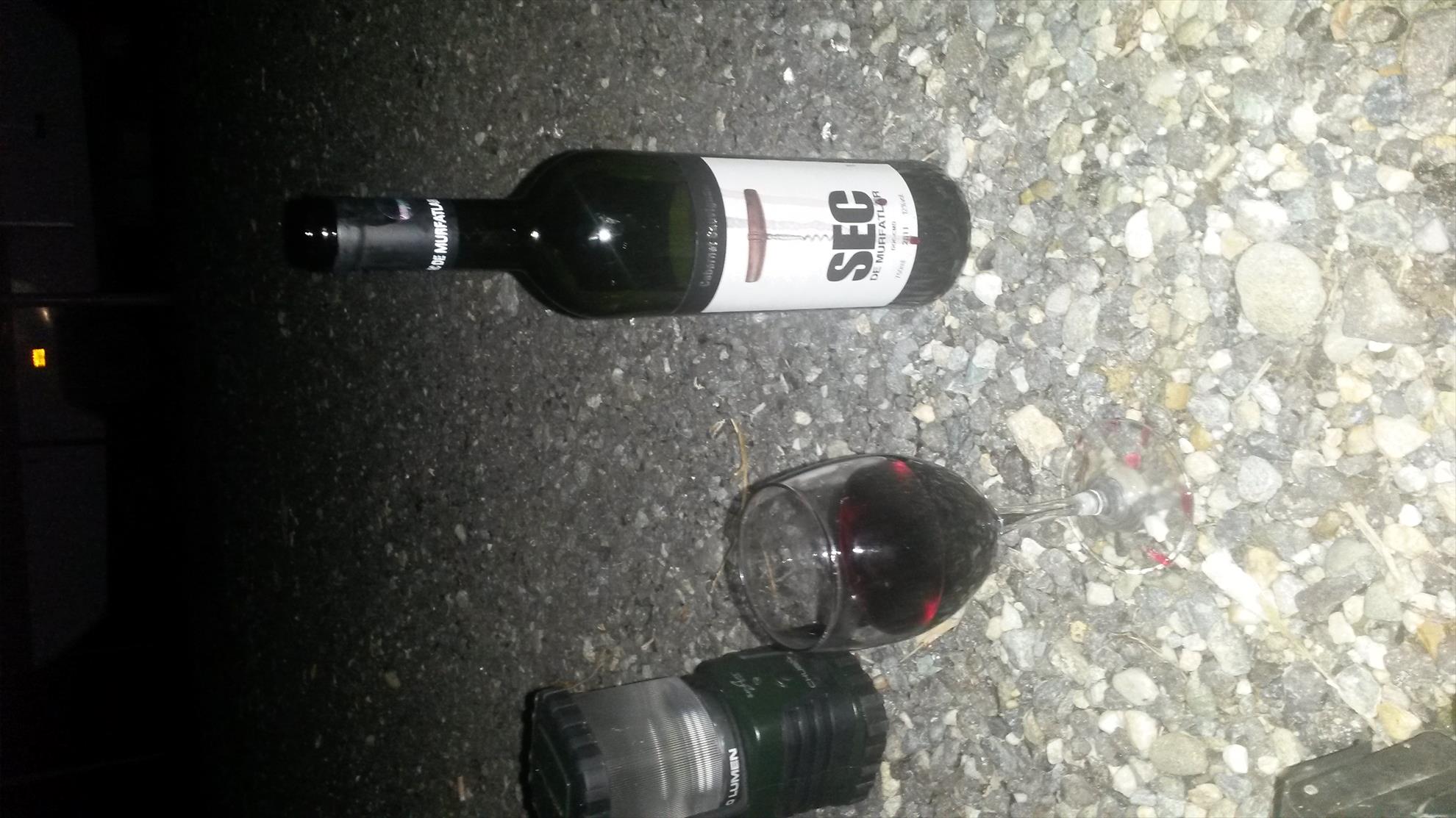 diverse - 16.10.2013 ora 21.37 pentru toti membri carpbook!!!!!!!!!!
